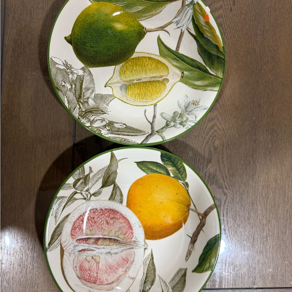 William Sonoma citrus botanical salad bowl